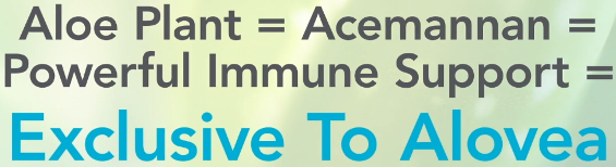 alovea immune enhancing